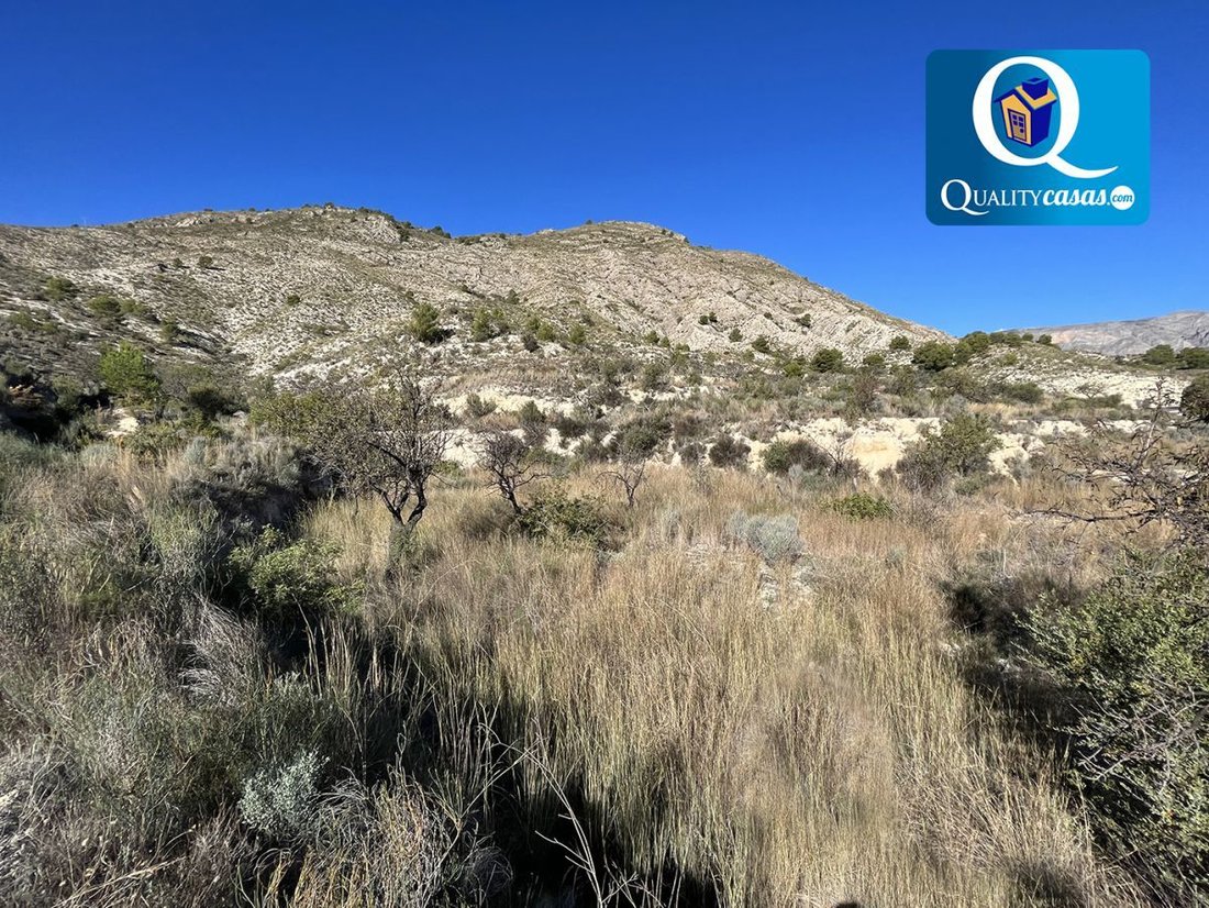 Land in Aigues, Valencian Community, Spain 1 - 16063327