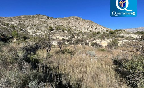 Land in Aigues, Valencian Community, Spain 1