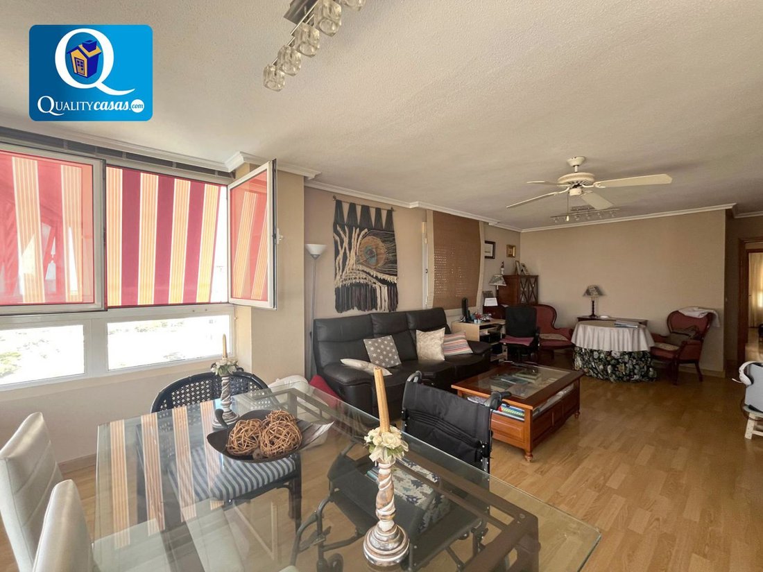 Apartment in el Campello, Valencian Community, Spain 1 - 16063332
