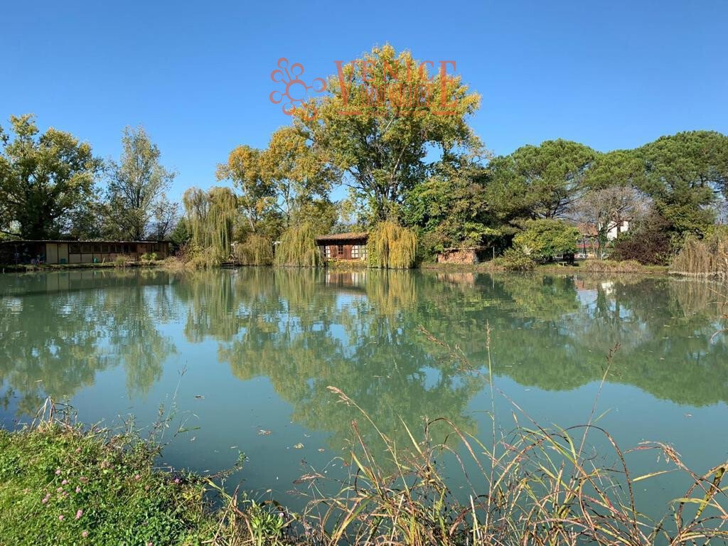 Land in Riese Pio X, Veneto, Italy 5 - 14618387