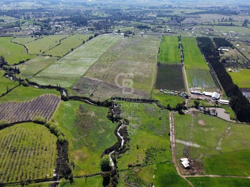 Land in Bulnes, Ñuble, Chile 3 - 16063845