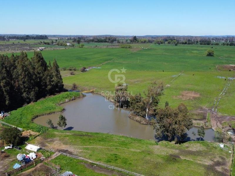 Land in Bulnes, Ñuble, Chile 4 - 16063845