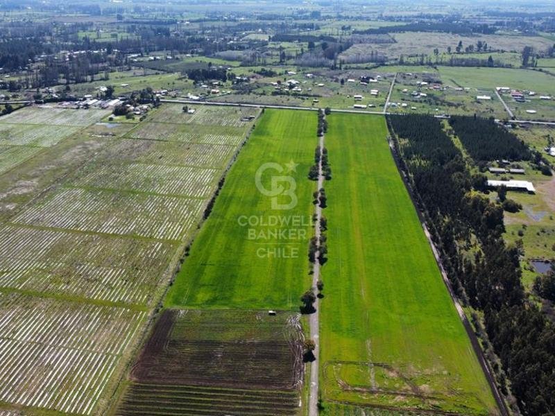 Land in Bulnes, Ñuble, Chile 2 - 16063845