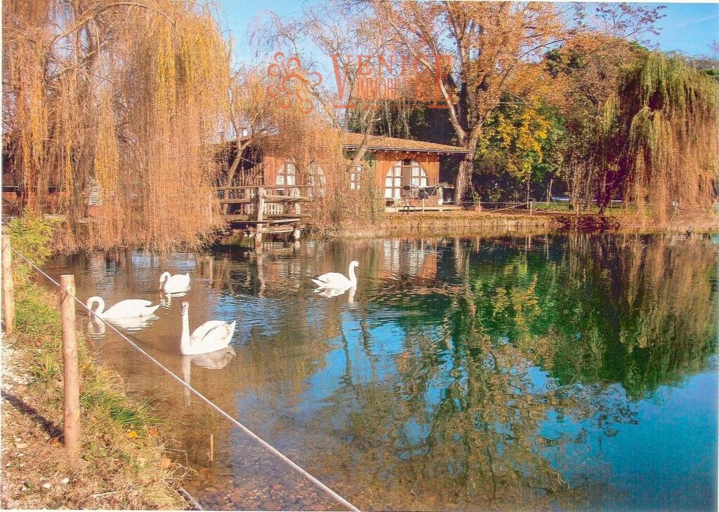 Land in Riese Pio X, Veneto, Italy 3 - 14618387