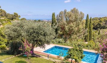La Villa des Rêves Bleus: A Provençal Haven by the Sea