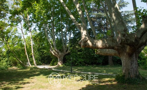 Castle for Sale in Le Thor, Provence-Alpes-Côte d'Azur, France