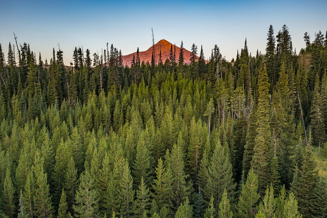 Land in Gallatin Gateway, Montana, United States 4 - 16065403