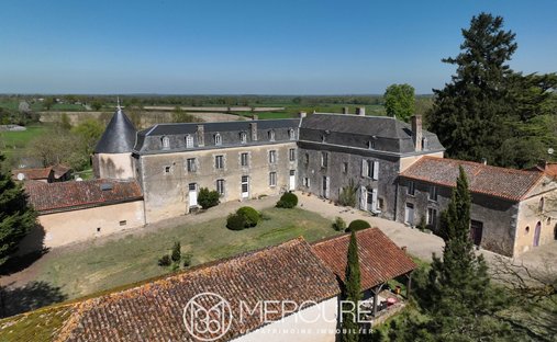 Between Poitiers And Parthenay 15th And 19th Century Chateau 9.75ha Of Parkland - 2