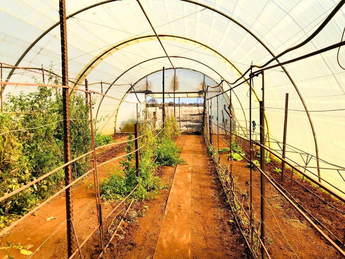 Estate in Bela-Bela, Limpopo, South Africa 2 - 16064096