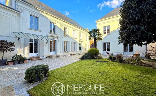 Castle for Sale in Châtellerault, Nouvelle-Aquitaine, France