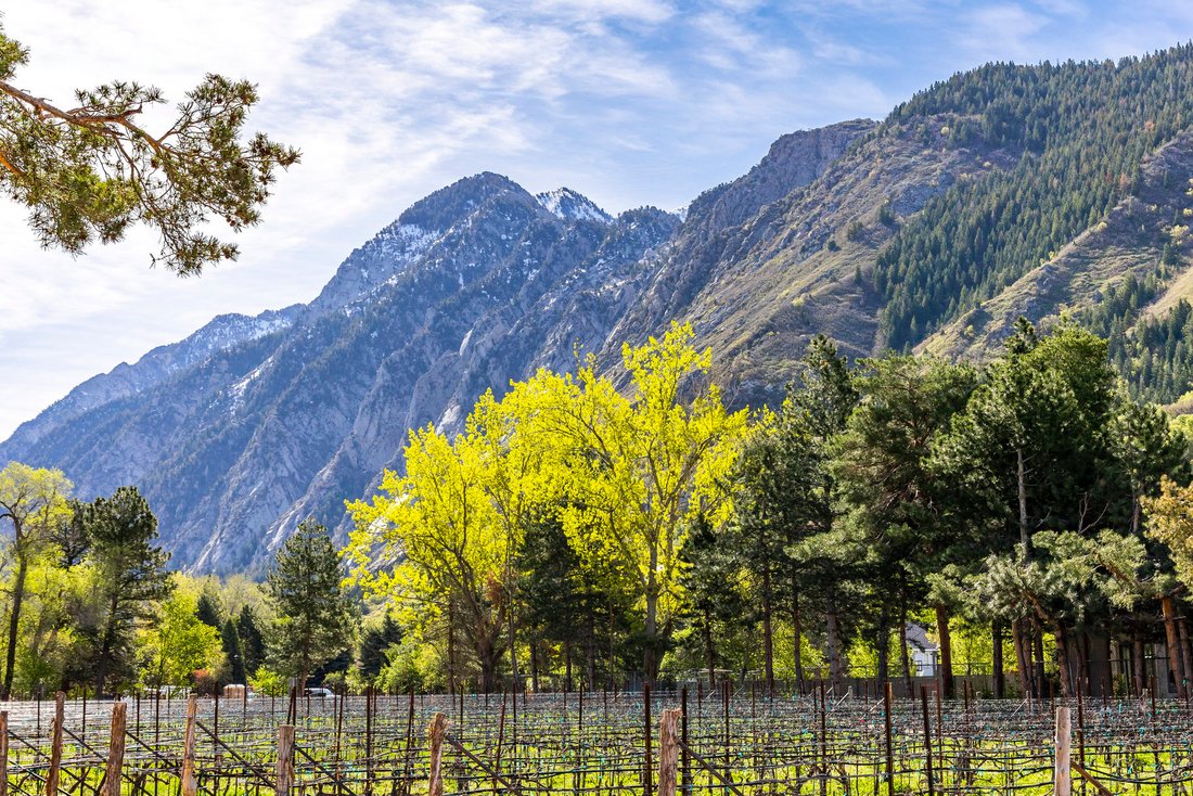 Land in Sandy, Utah, United States 1 - 16064706