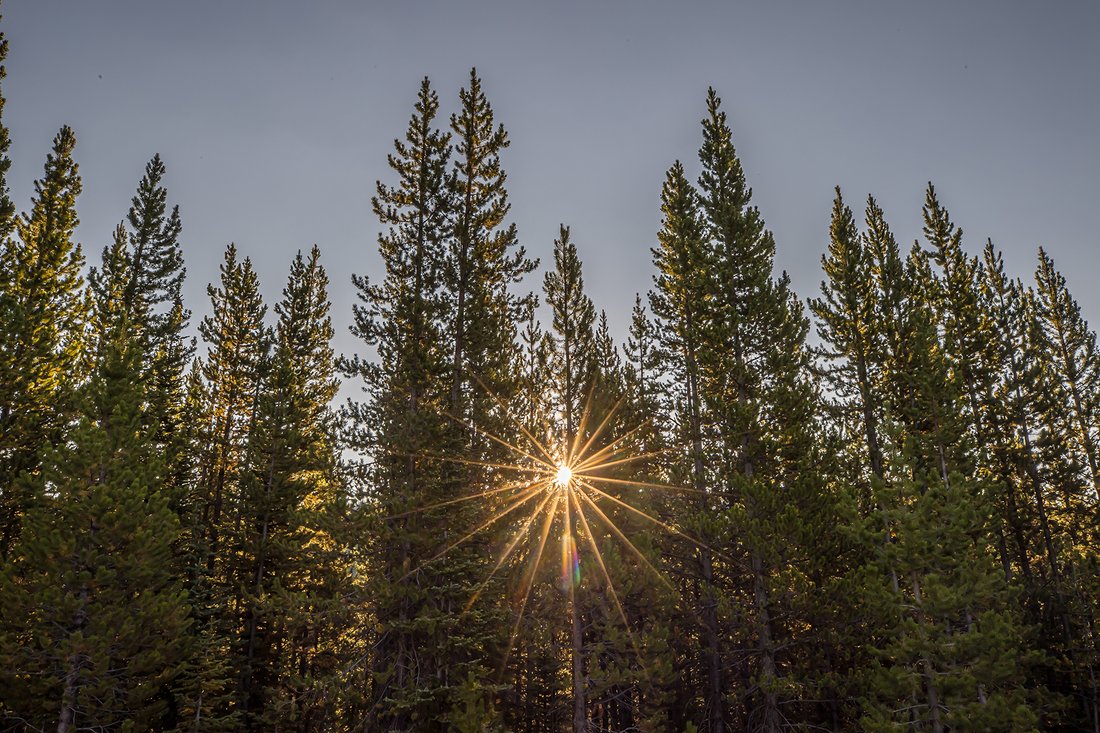 Land in Gallatin Gateway, Montana, United States 5 - 16016061