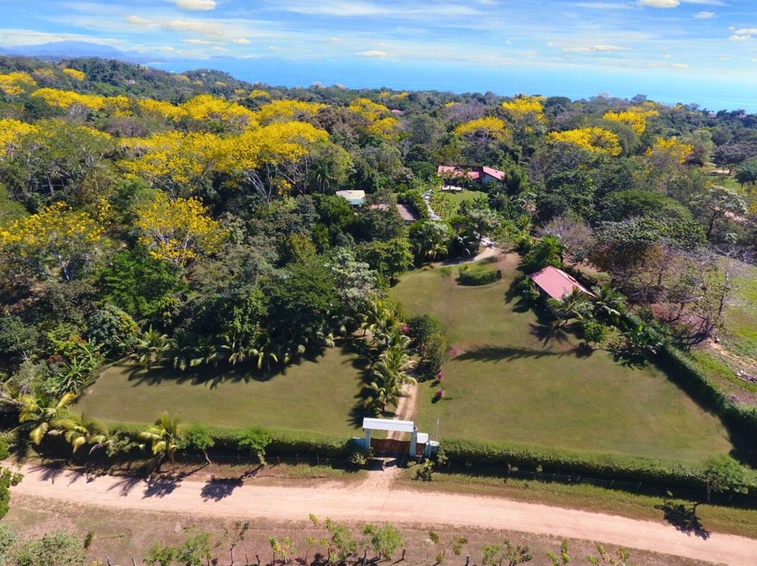 Villa in Las Delicias, Puntarenas Province, Costa Rica 2 - 16064488