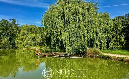 Castle for Sale in La Roche-Posay, Nouvelle-Aquitaine, France