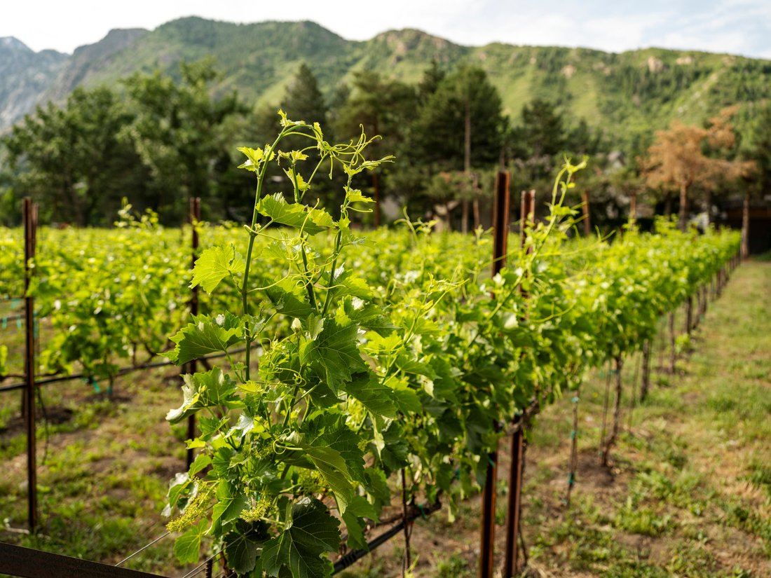 Land in Sandy, Utah, United States 5 - 16064703