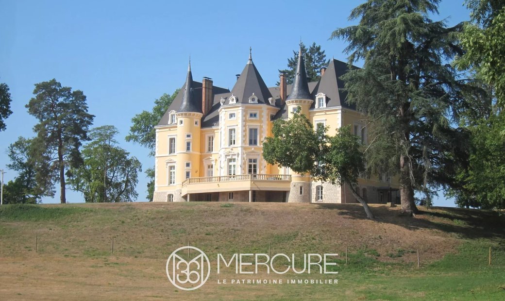 East Of France Fully Renovated 19th Century Chateau