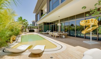 Villa in Dubai, Dubai, United Arab Emirates 1