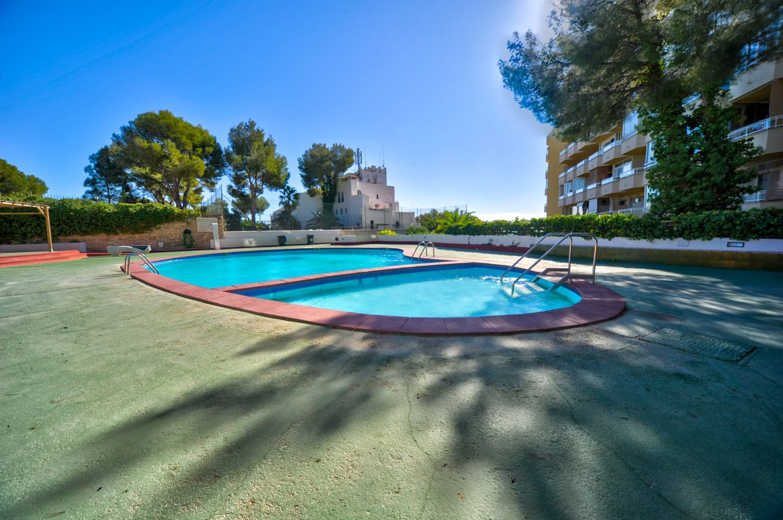 Apartment in Cas Catala, Calvia, Balearic Islands 4 - 14361507