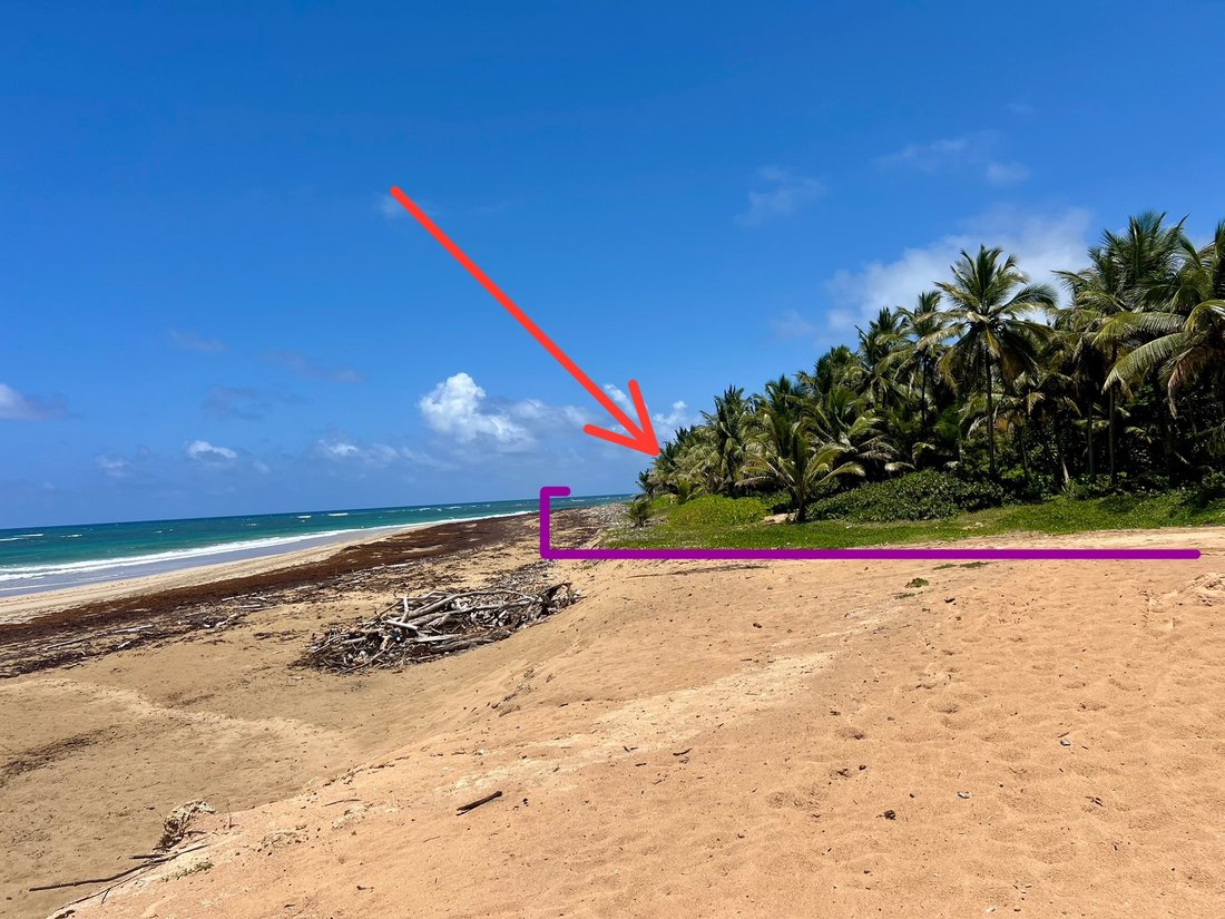 Land in Juanillo, La Altagracia Province, Dominican Republic 4 - 16070030