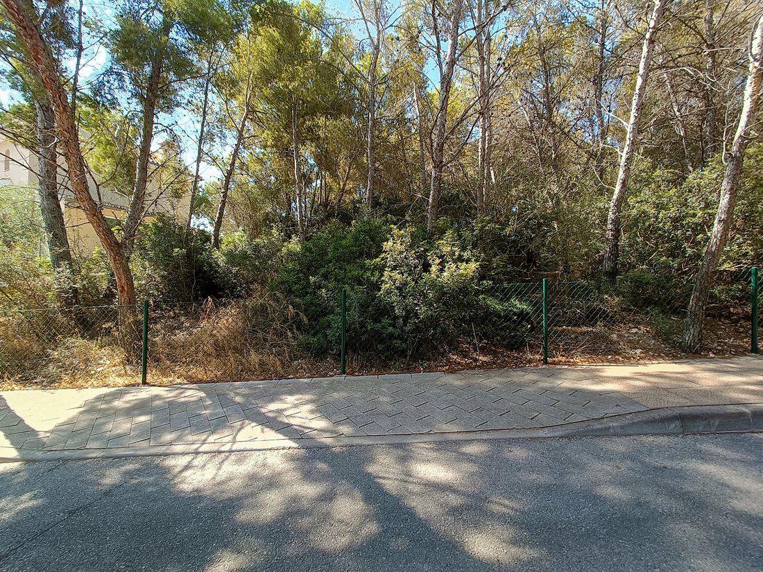 Land in Sol de Mallorca, Calvia, Balearic Islands 4 - 16069119