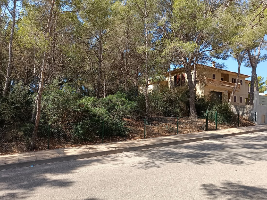 Land in Sol de Mallorca, Calvia, Balearic Islands 3 - 16069119