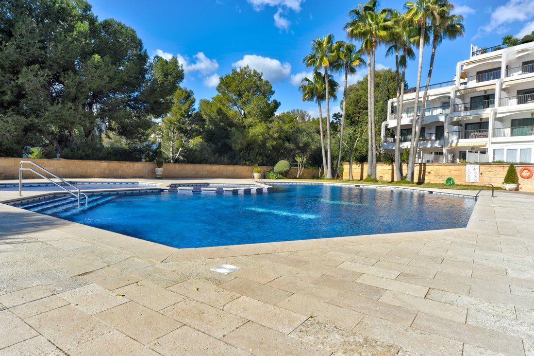 Apartment in Portals Nous, Calvia, Balearic Islands 4 - 15827791