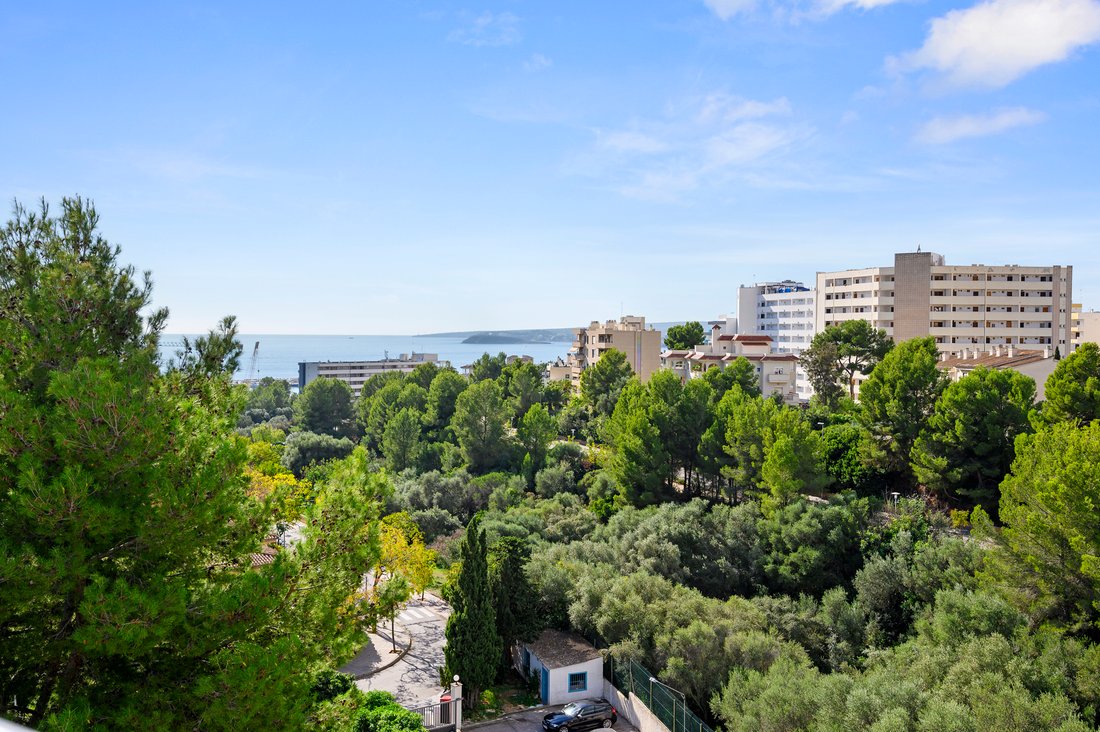 Apartment in Portals Nous, Calvia, Balearic Islands 1 - 15125065