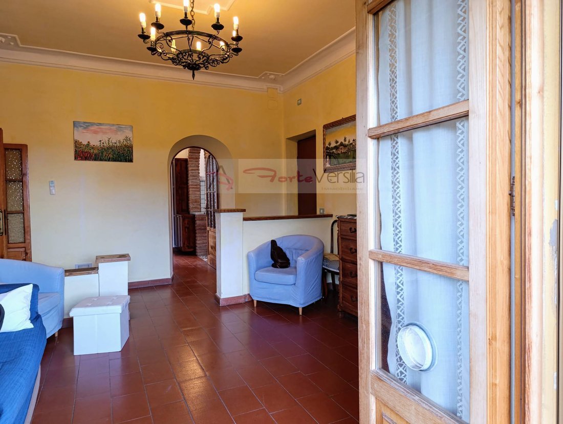 Apartment in Center, Forte dei Marmi, Tuscany 4 - 16071018