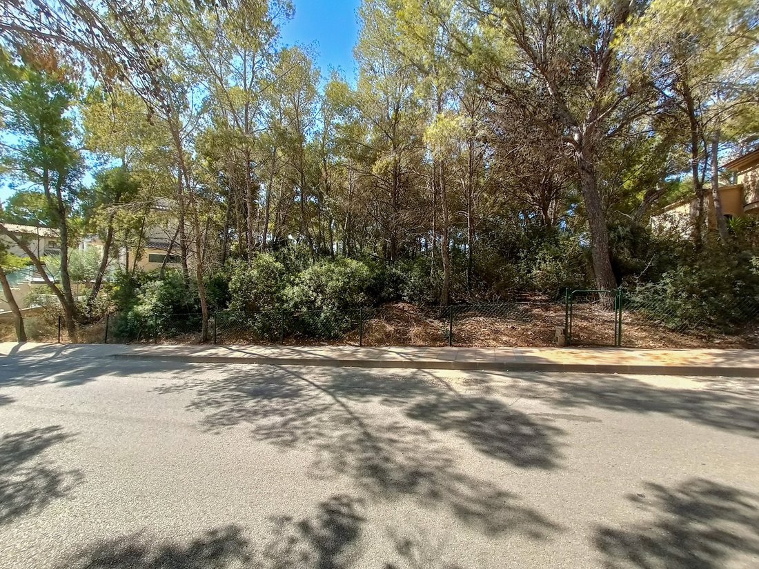 Land in Sol de Mallorca, Calvia, Balearic Islands 1 - 16069119