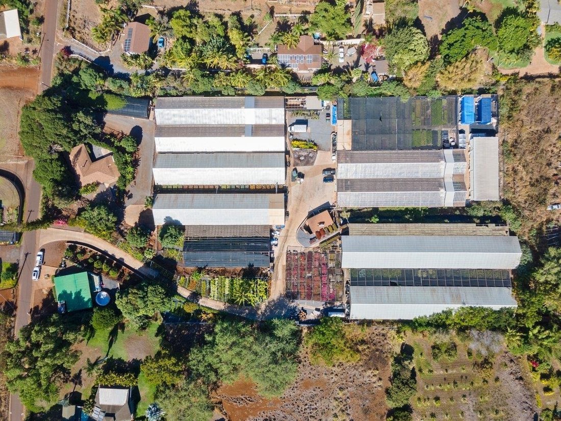 House in Kula, Hawaii, United States 2 - 16070112