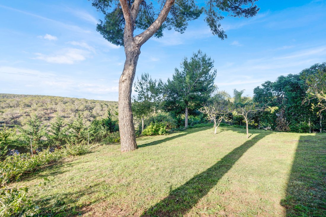 Villa in Sol de Mallorca, Calvia, Balearic Islands 4 - 15036439