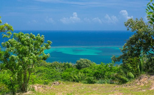 Land in Coxen Hole, Islas de la Bahía, Honduras 1