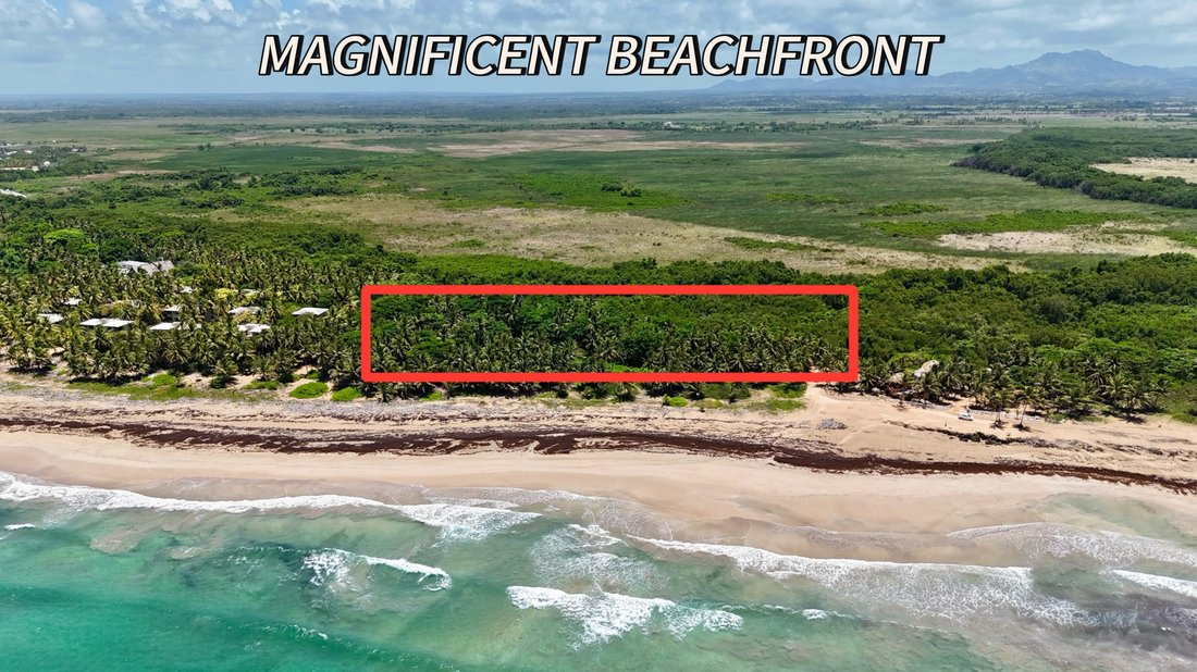 Land in Juanillo, La Altagracia Province, Dominican Republic 3 - 16070030