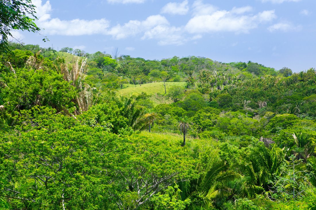 Land in Coxen Hole, Bay Islands Department, Honduras 2 - 10913555