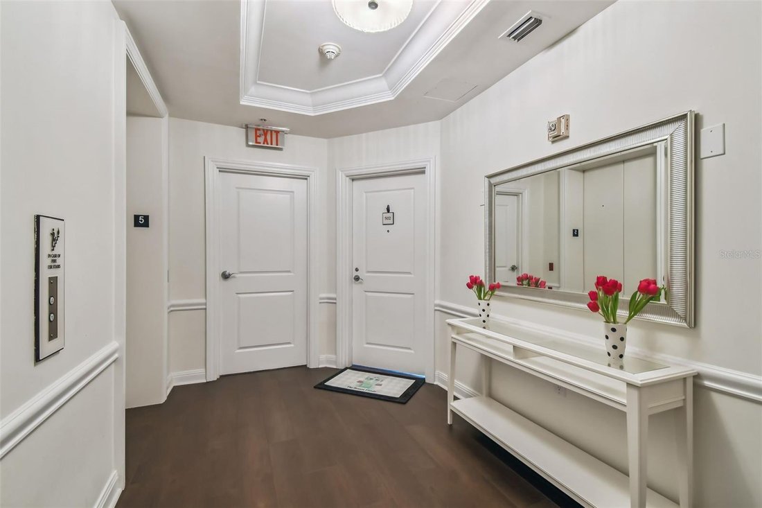 House in Tampa, Florida, United States 2 - 16071145