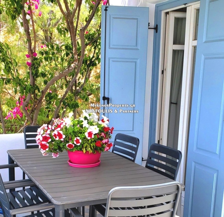 Apartment in Mykonos, Aegean, Greece 4 - 16069571