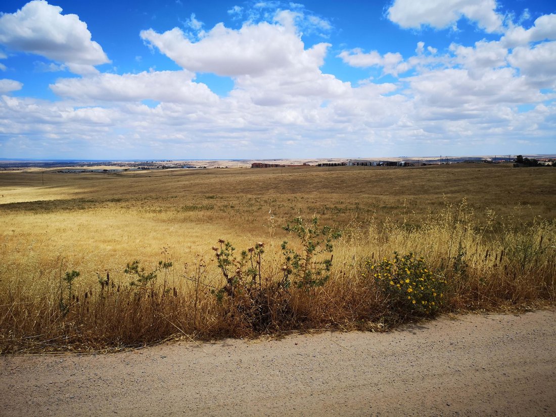 Land in Cáceres, Extremadura, Spain 4 - 14795632