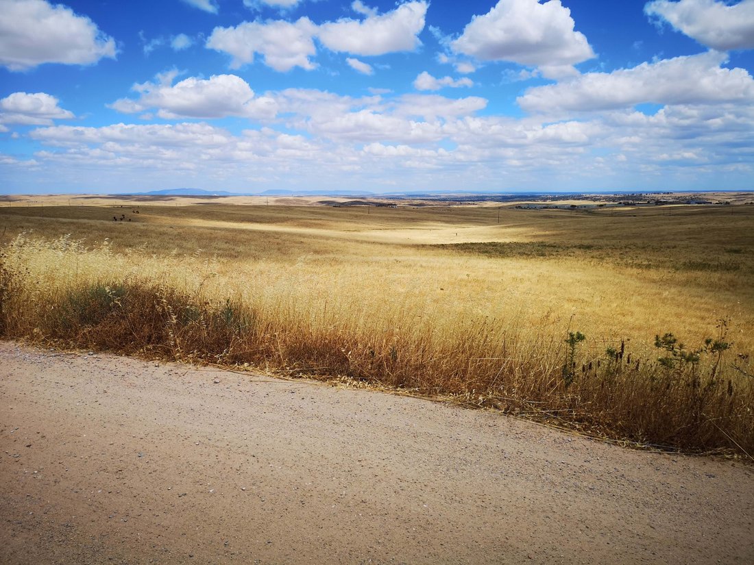 Land in Cáceres, Extremadura, Spain 1 - 14795632