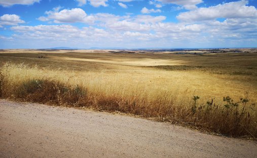 Land in Cáceres, Extremadura, Spain 1