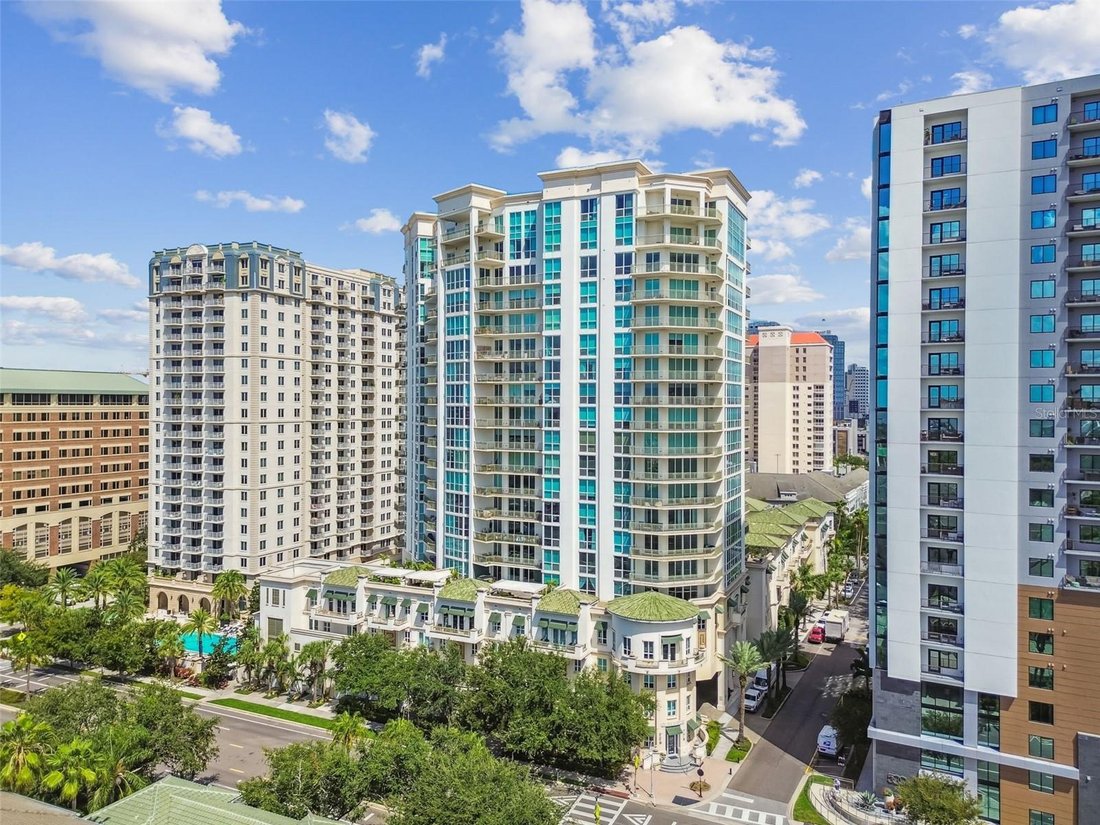 House in Tampa, Florida, United States 1 - 16071145