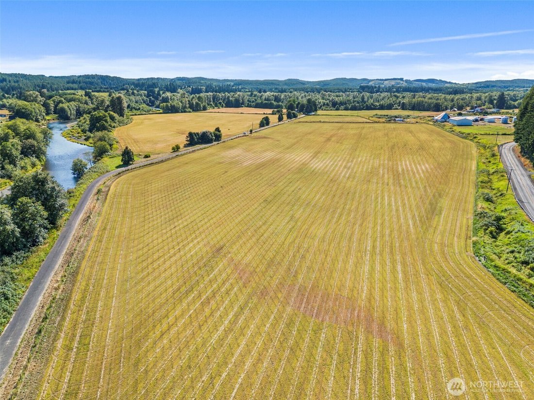 House in Montesano, Washington, United States 4 - 16069620