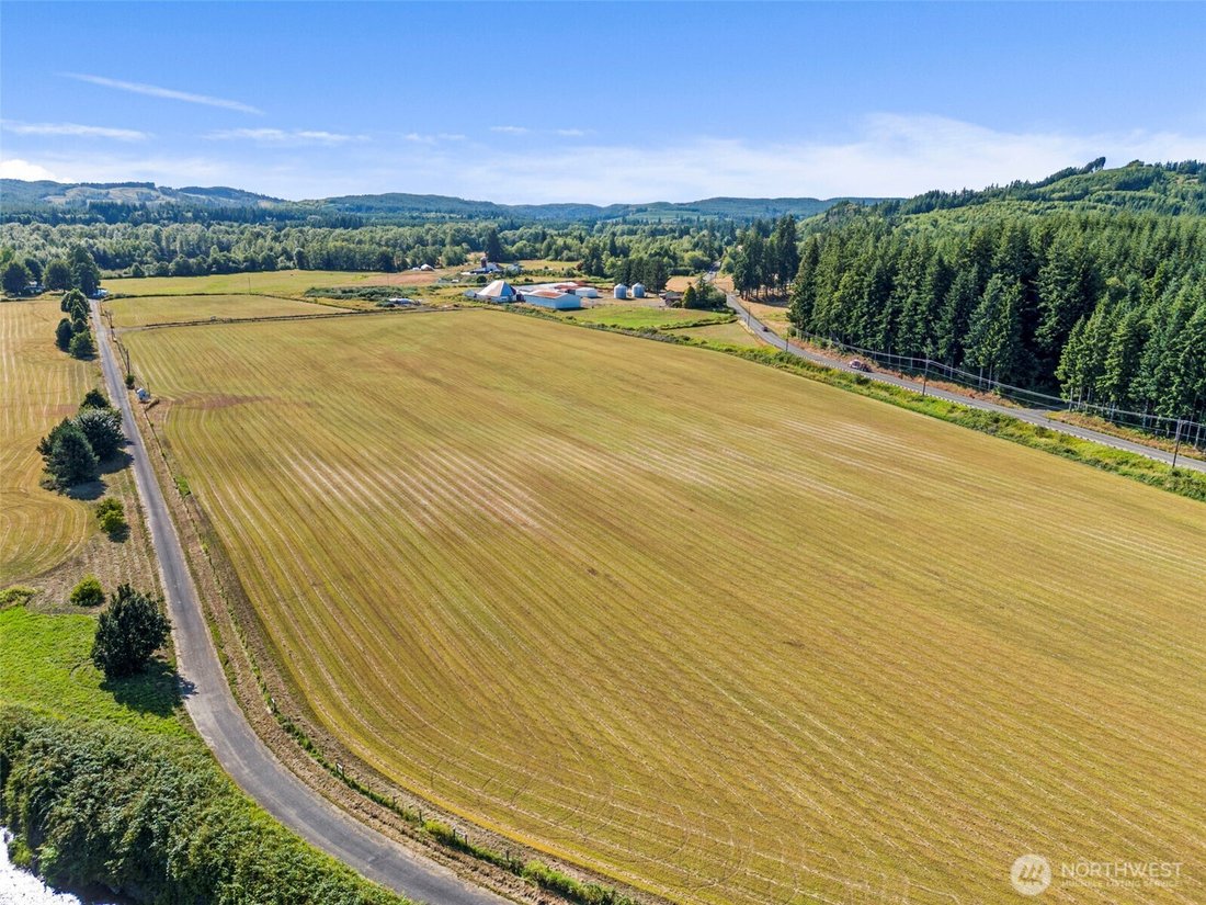 House in Montesano, Washington, United States 3 - 16069620