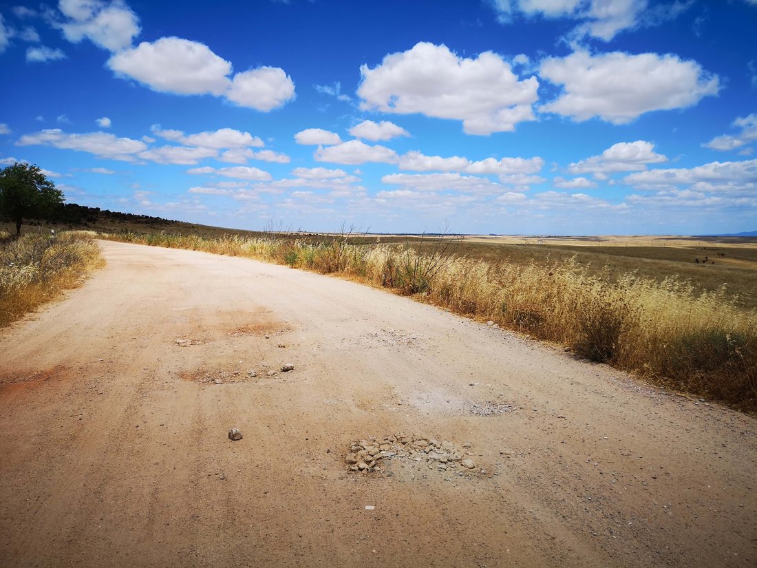 Land in Cáceres, Extremadura, Spain 2 - 14795632
