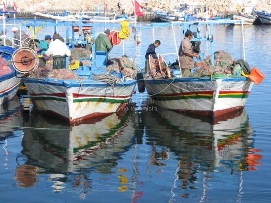 Djerba Midun, Medenine, Tunisia 4 - 12145140