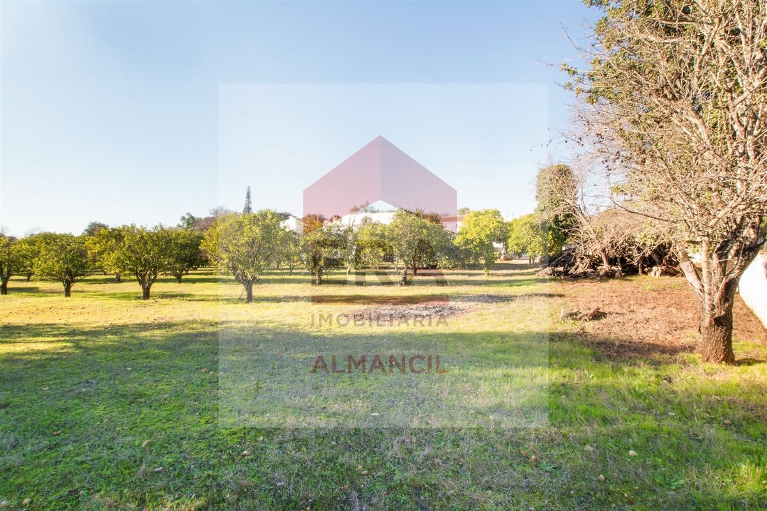 Farm Ranch in Almancil, Algarve, Portugal 5 - 16070574