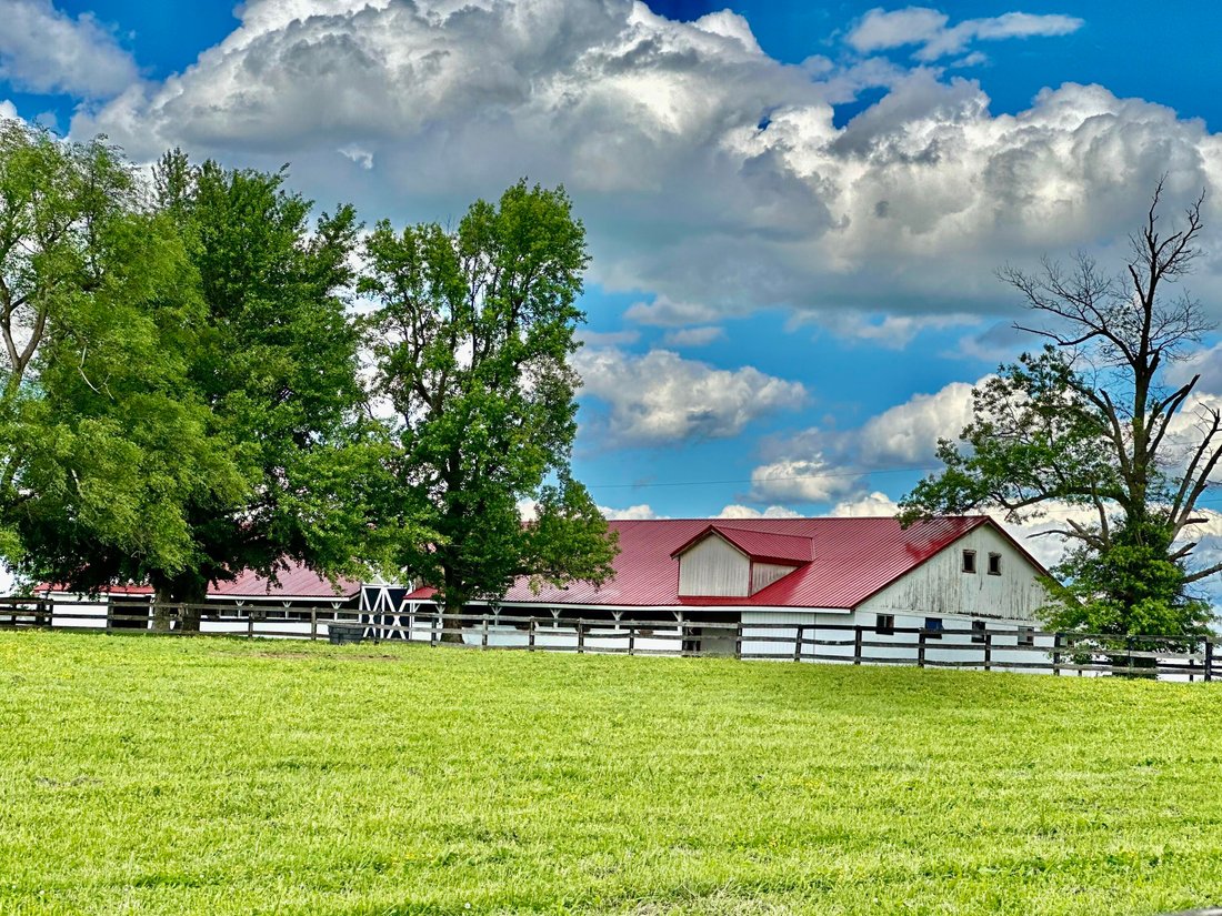 Farm Ranch in Lexington, Kentucky, United States 1 - 16069910