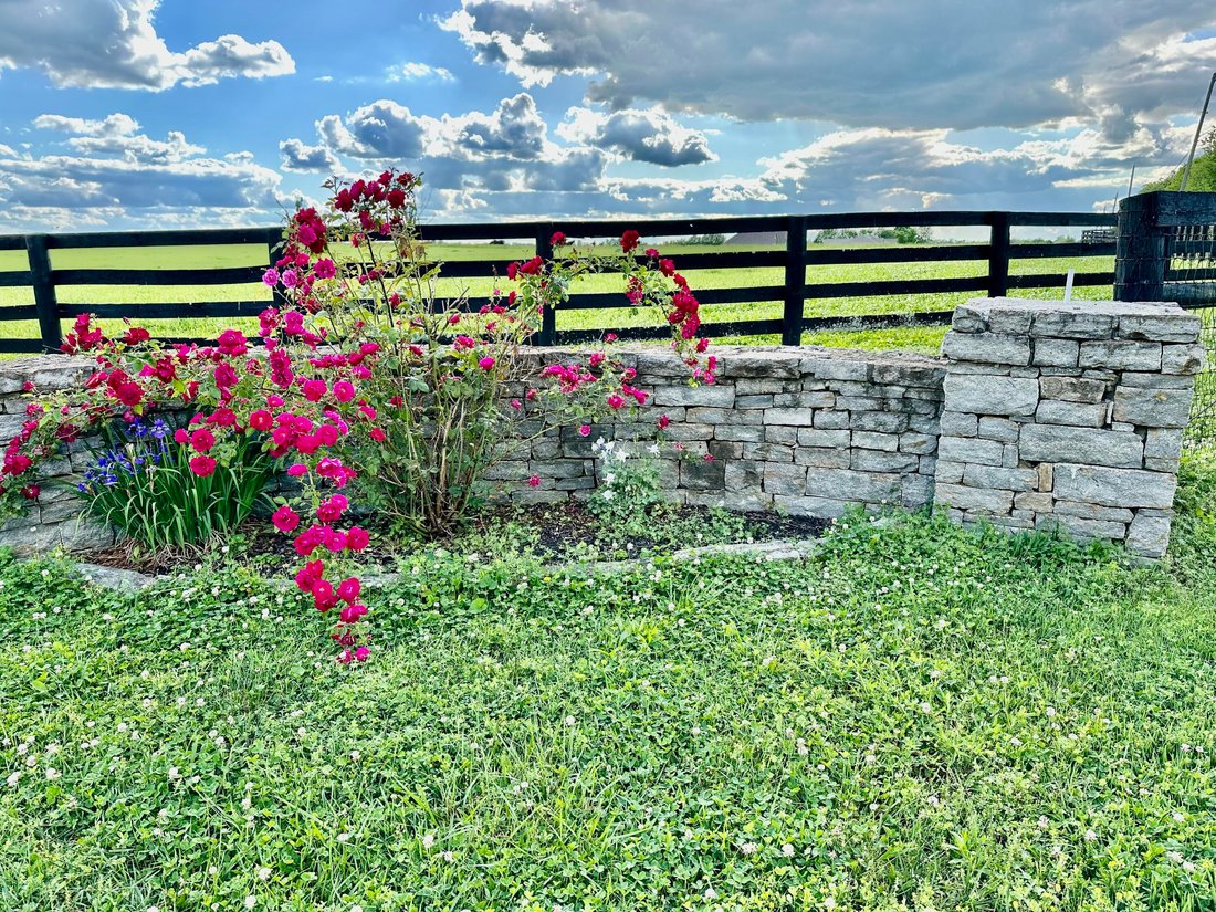 Farm Ranch in Lexington, Kentucky, United States 2 - 16069910