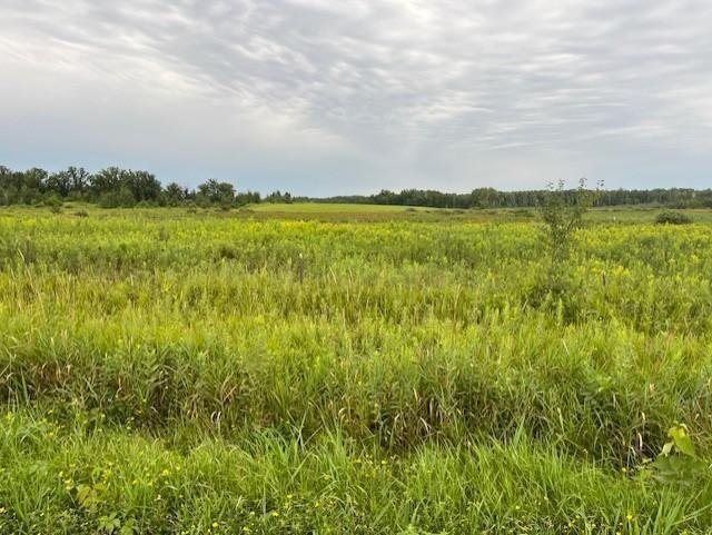 Land in Brook Park, Minnesota, United States 3 - 16073427