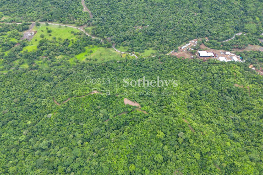Farm Ranch in Carrillo, Carrillo, Costa Rica 3 - 16073418