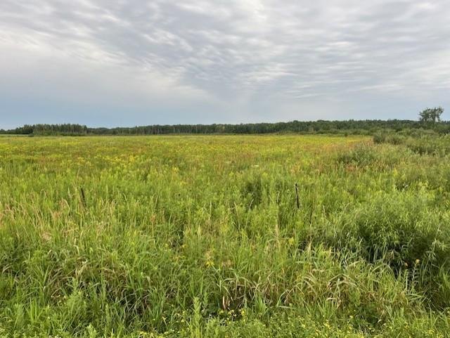 Land in Brook Park, Minnesota, United States 5 - 16073427